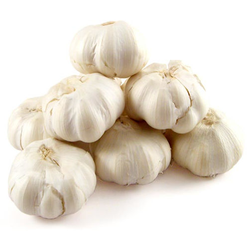 Buy Garlic Online