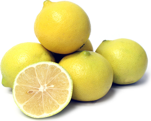 Buy Sweet Lemon Online