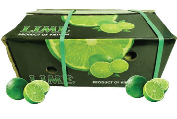 Buy Lime Box Online