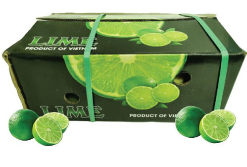 Buy Lime Box Online