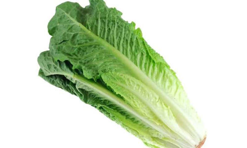 Buy Lettuce Romaine Online