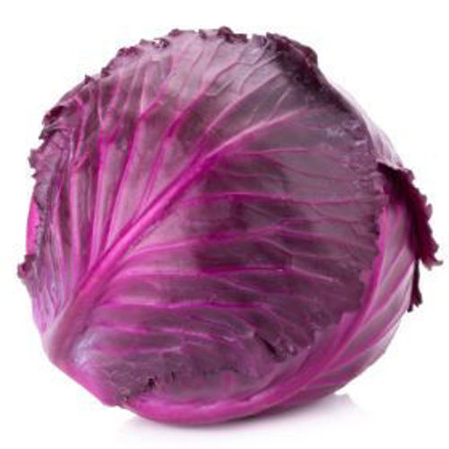 Buy Cabbage Red Online