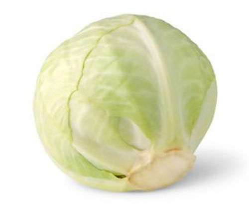Buy Cabbage White Online
