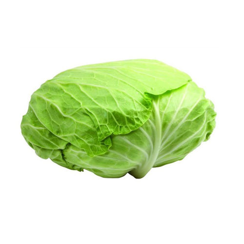 Buy Flat Cabbage Online