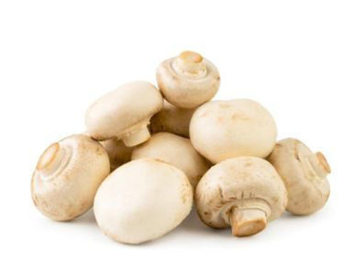 Buy White Mushrooms Online