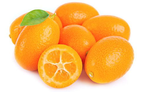 Buy Kumquat Online