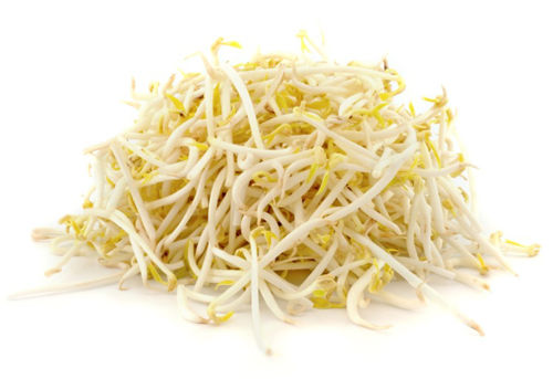 Buy Bean Sprouts Online