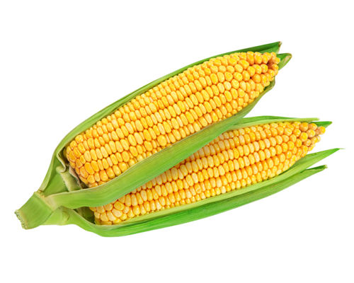 Buy Sweet Corn Online