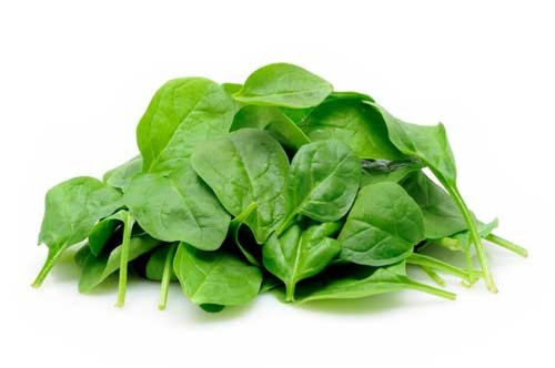 Buy Baby Spinach Online