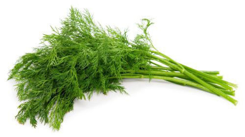 Buy Dill Online