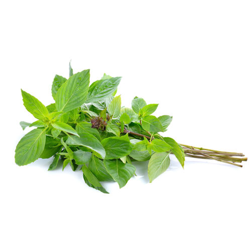 Buy Basil Leaves ????? Online