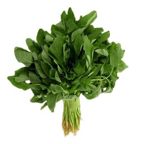 Buy Green Cheera Online