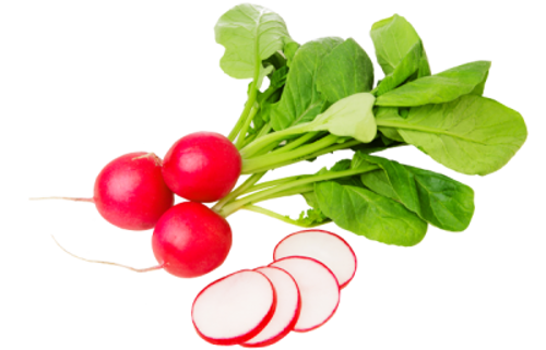 Buy Radish Red Online