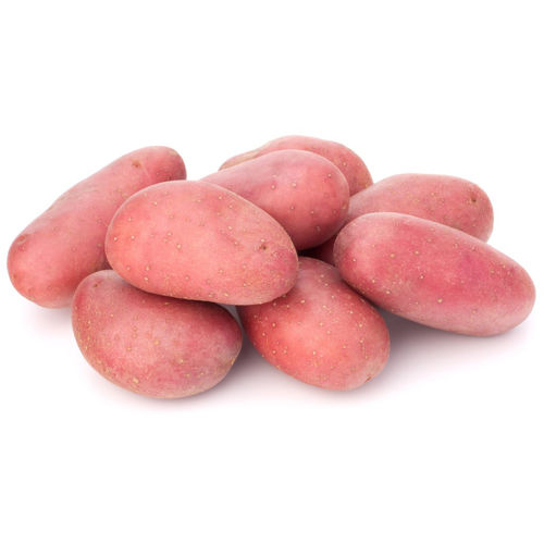 Buy Potato Red Online