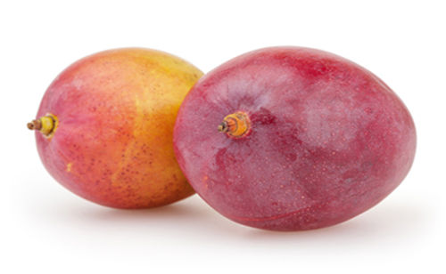 Buy Mango Naomi Online
