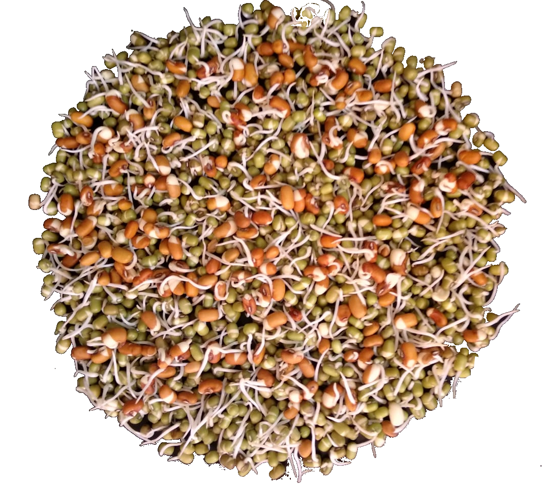Farzana Buy Mixed Beans Sprouts Online at the best price