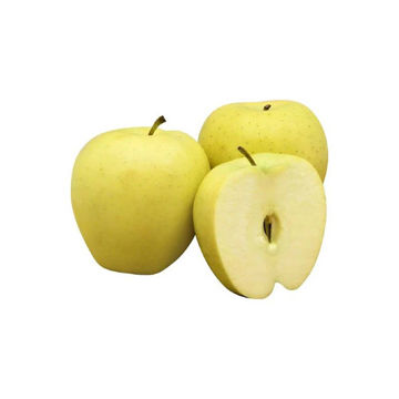 Buy Fresh Apple Green Online