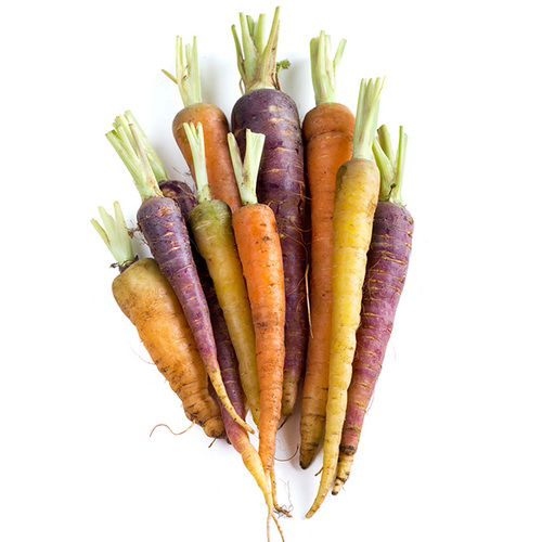 Buy Baby Rainbow Carrot Online