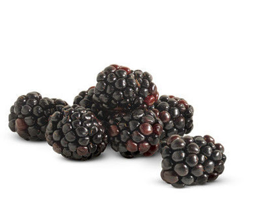 Buy Blackberries Online