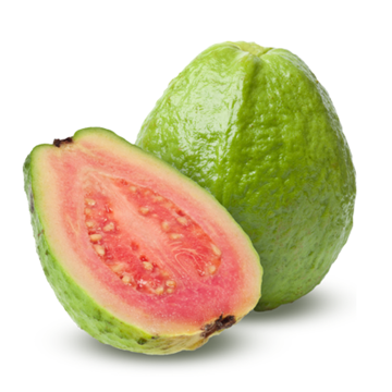 Shop Fresh Guava Pink – Sweet, Tropical Fruit with Rich Flavor Fresh Guava Pink – Sweet, juicy tropical fruit with vibrant pink flesh