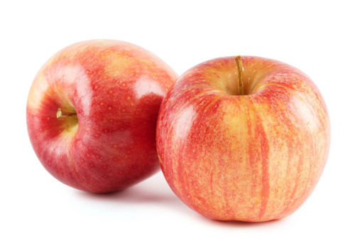 Picture of Royal Gala Apple XF