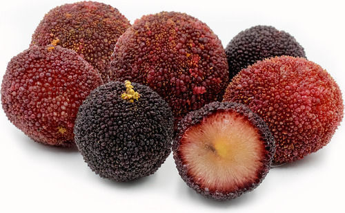 Buy Waxberry Online