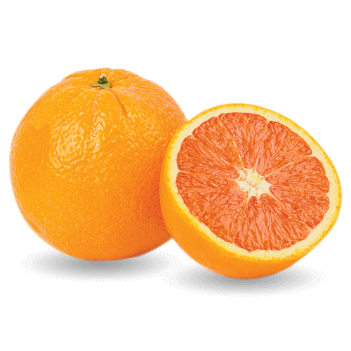 Buy Orange Cara Cara