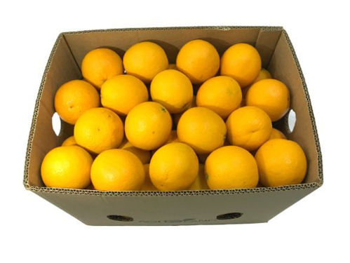 Buy Orange Valencia Box Online