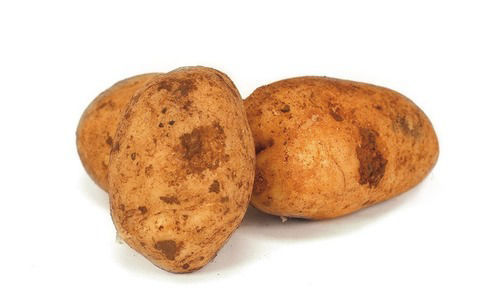 Buy Potato Online