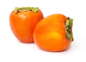 Buy Persimmon Online