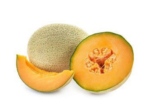 Rock Melon Online