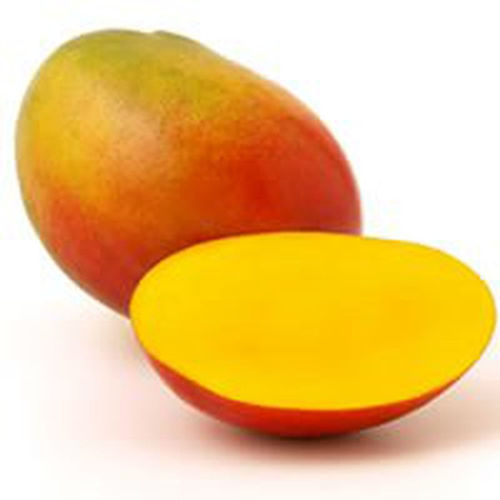 Buy Mango Tommy Online