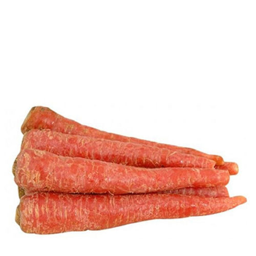 Buy Carrot Red Online