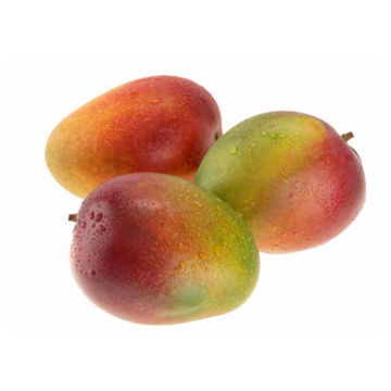 Buy Mango Keitt Online