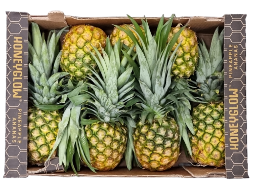 Buy Pineapple Honeyglow Box Online