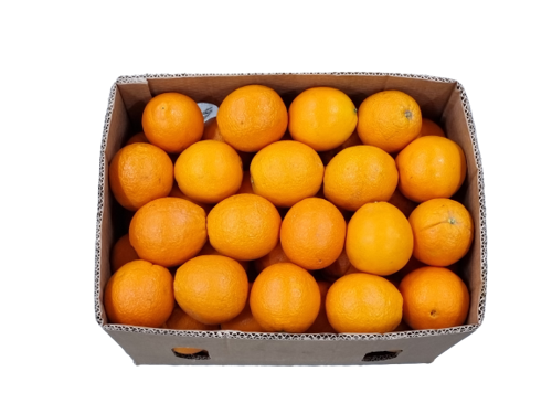 Buy Orange Navel Box Online