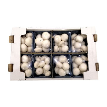 Buy White Mushrooms Box Online