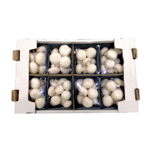 Buy White Mushrooms Box Online