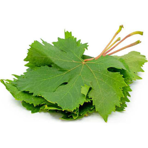 Buy Grape Leaves Online