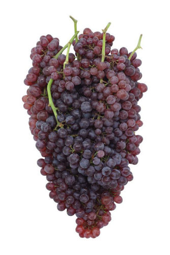 Buy Grapes Red Seedless Online
