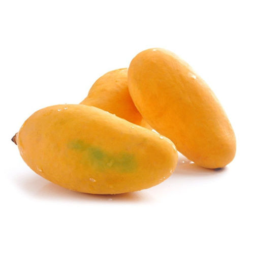 Picture of Mango Sindhri