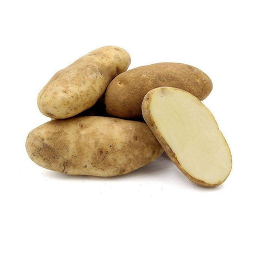 Picture of Potato Idaho/Russet