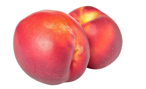 Buy Nectarine Online