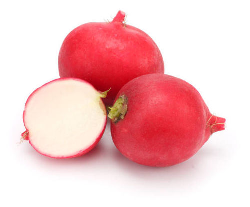 Buy Radish Red Online