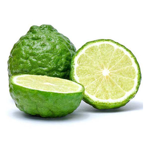 Buy Kaffir Lime Online