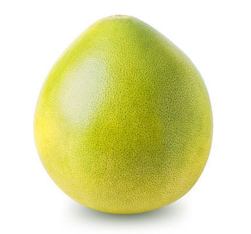 Buy Pomelo White Online