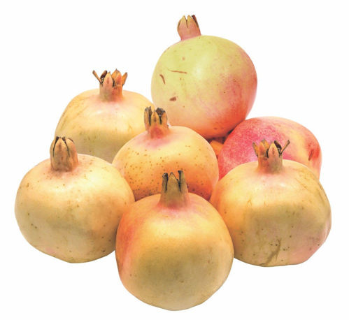 Buy Pomegranate Online