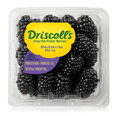 Buy Driscoll's Blackberries Online