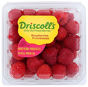 Buy Driscoll's Raspberries Online