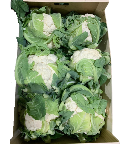 Buy Cauliflower Box Online